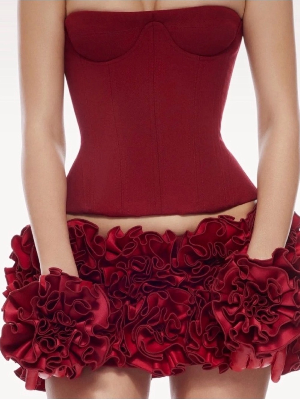 Never Worn, Fanci Club Viral Red Rose Corset Set